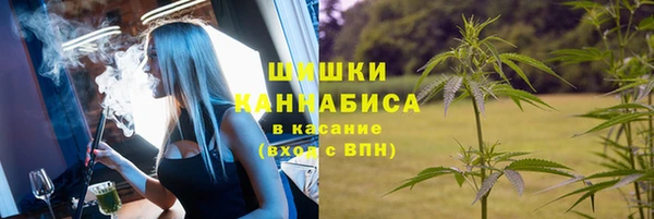 стаф Горно-Алтайск