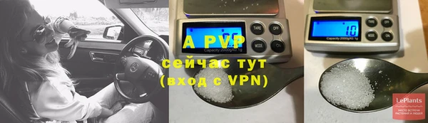 стаф Горно-Алтайск