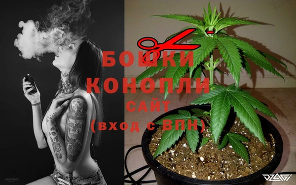 стаф Горно-Алтайск