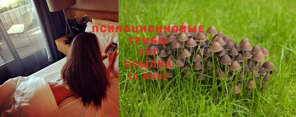 стаф Горно-Алтайск