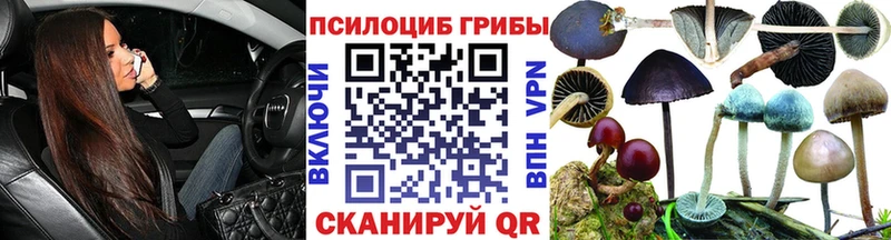 дарнет шоп  Емва  Псилоцибиновые грибы Cubensis 